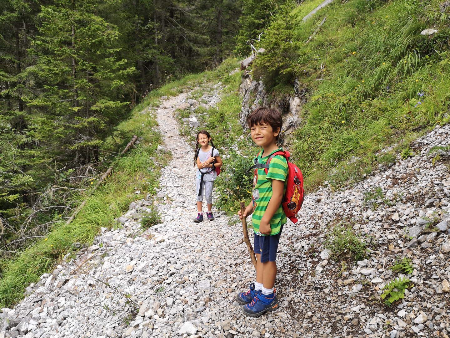Il sentiero che sale al rifugio passando per il bosco Il sentiero che sale al rifugio passando per il bosco