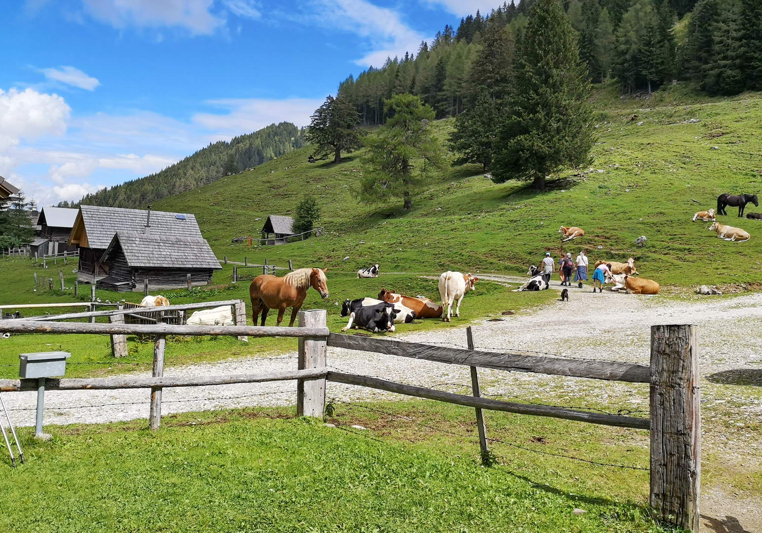 La Wirtshaus Starhand, malga appena oltre il confine La Wirtshaus Starhand, malga appena oltre il confine